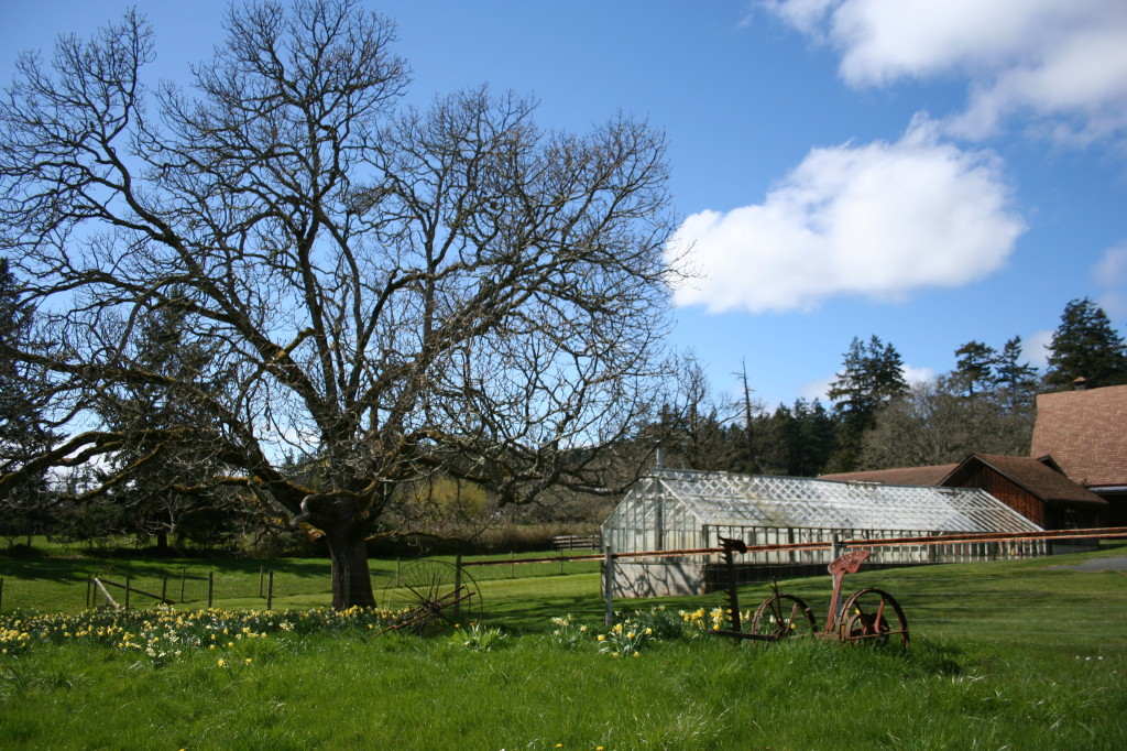 Winter Creek Farm - The Local Food Box